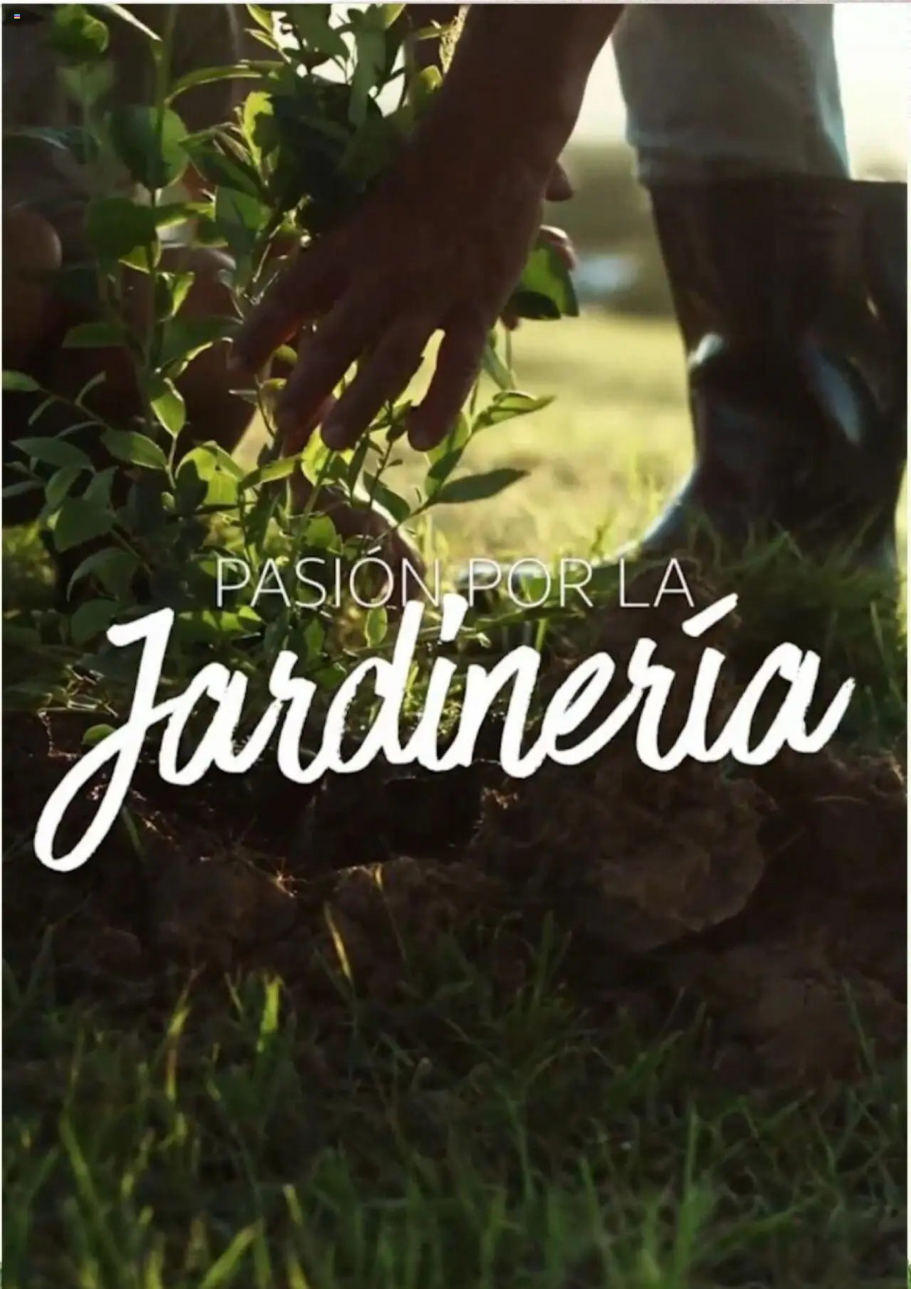 Alcampo - Jardín │ válido desde el 11.02.2025 | Página: 2