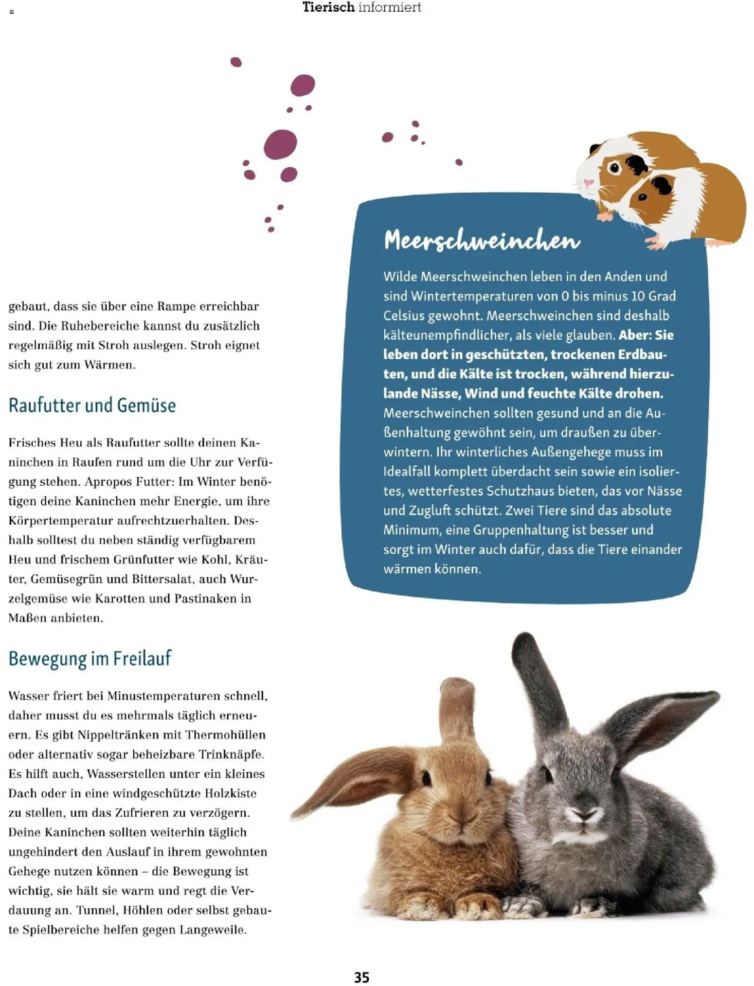 Fressnapf Friends 06/25 gültig ab 01.11.2025 | Seite: 35 | Produkte: Wasser, Gemüse, Uhr