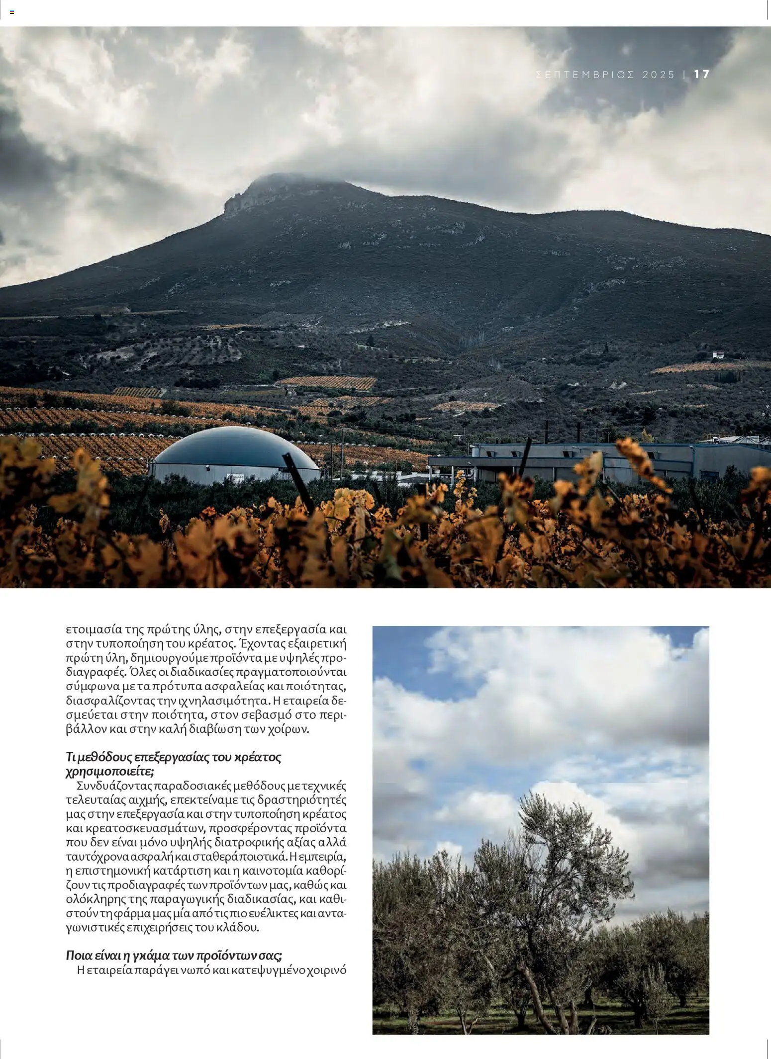  | Σελίδα: 19 | Προϊόντα: Χοιρινό