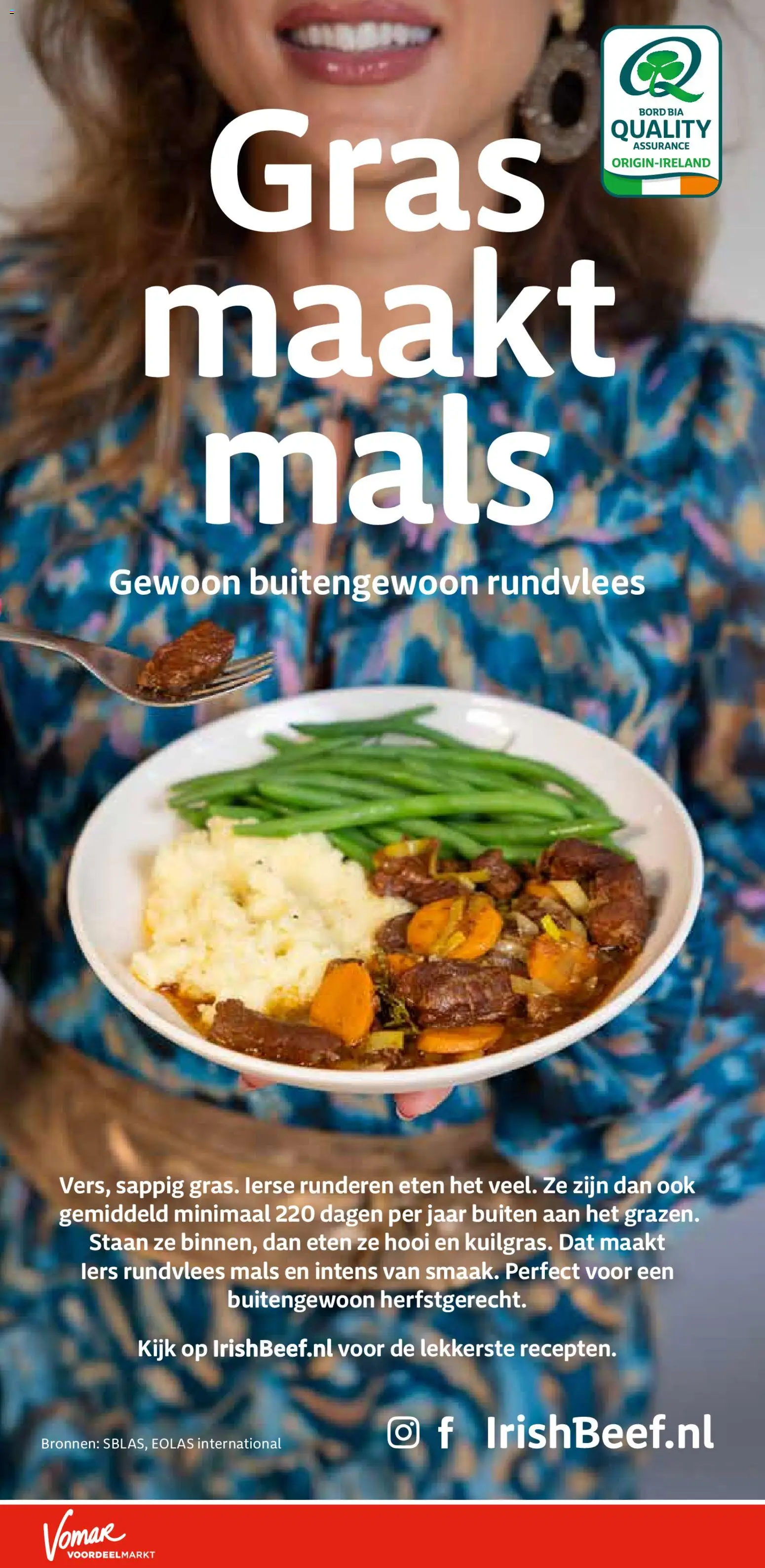 {H1} | Pagina: 23 | Producten: Bord, Rundvlees