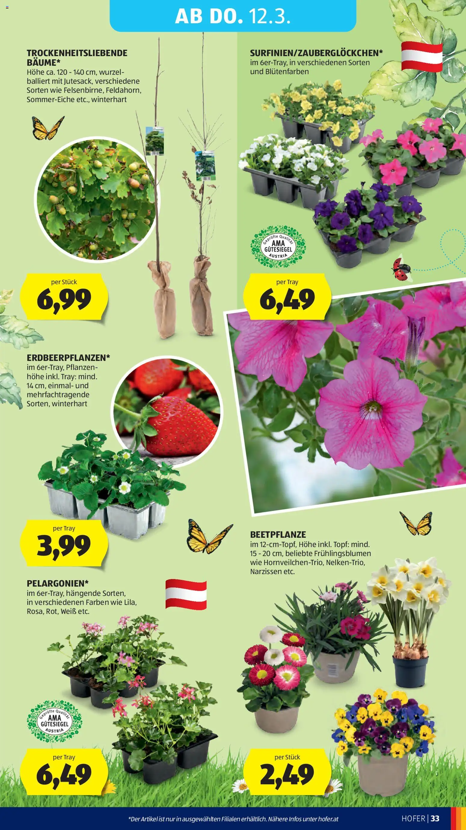 Hofer Flugblatt gültig ab 04.03.2026 | Seite: 41