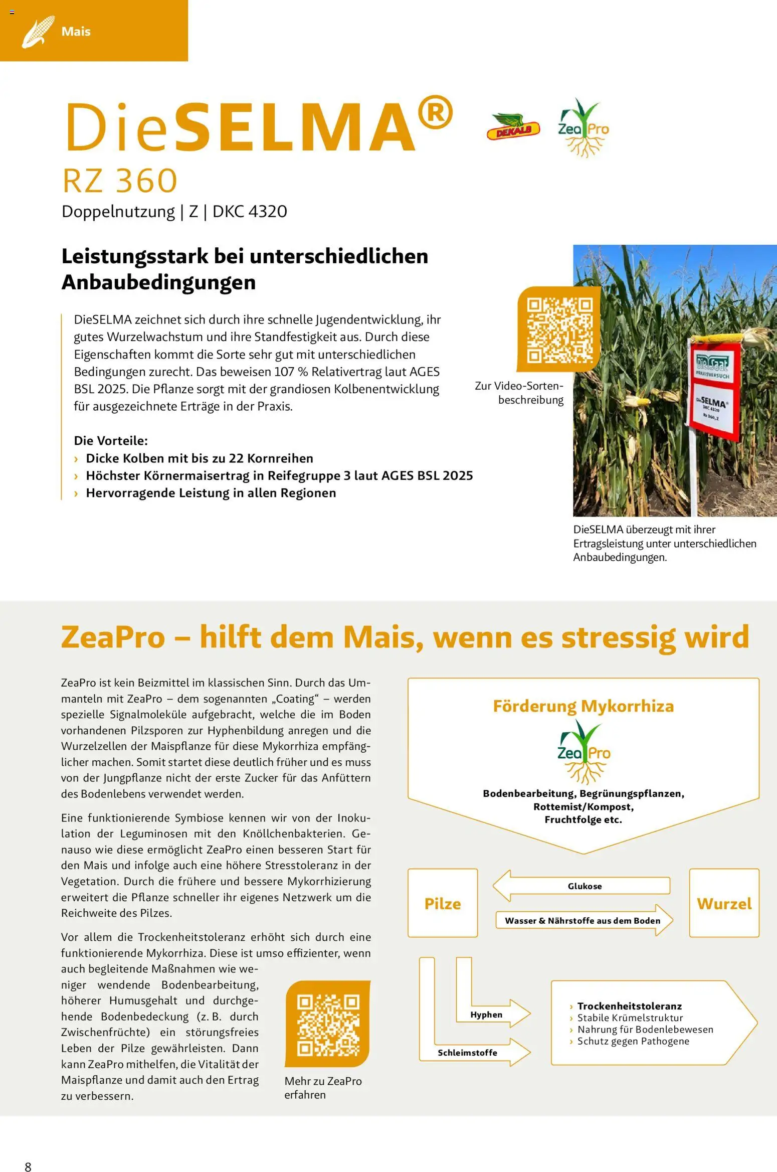 Lagerhaus - Frühjahr 2026 Westliches Niederösterreich gültig ab 01.03.2026 | Seite: 8 | Produkte: Wasser, Zucker