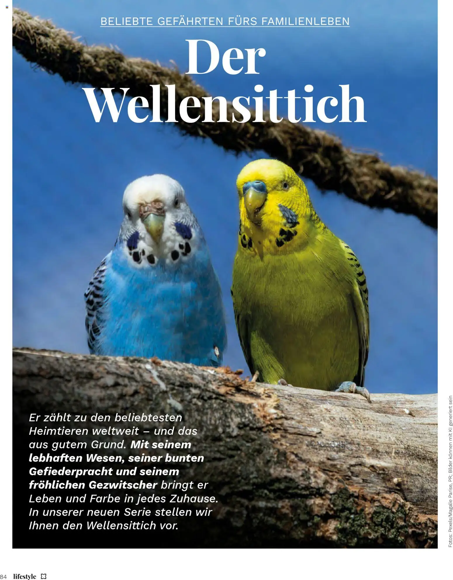 Müller - Lifestyle – gültig ab 01.01.2026 | Seite: 84