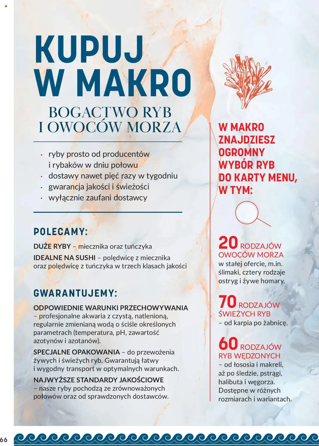 Makro Gazetka - Ryby i owoce morza od 07.02.2024 | Strona: 66 | Produkty: Ryby, Woda