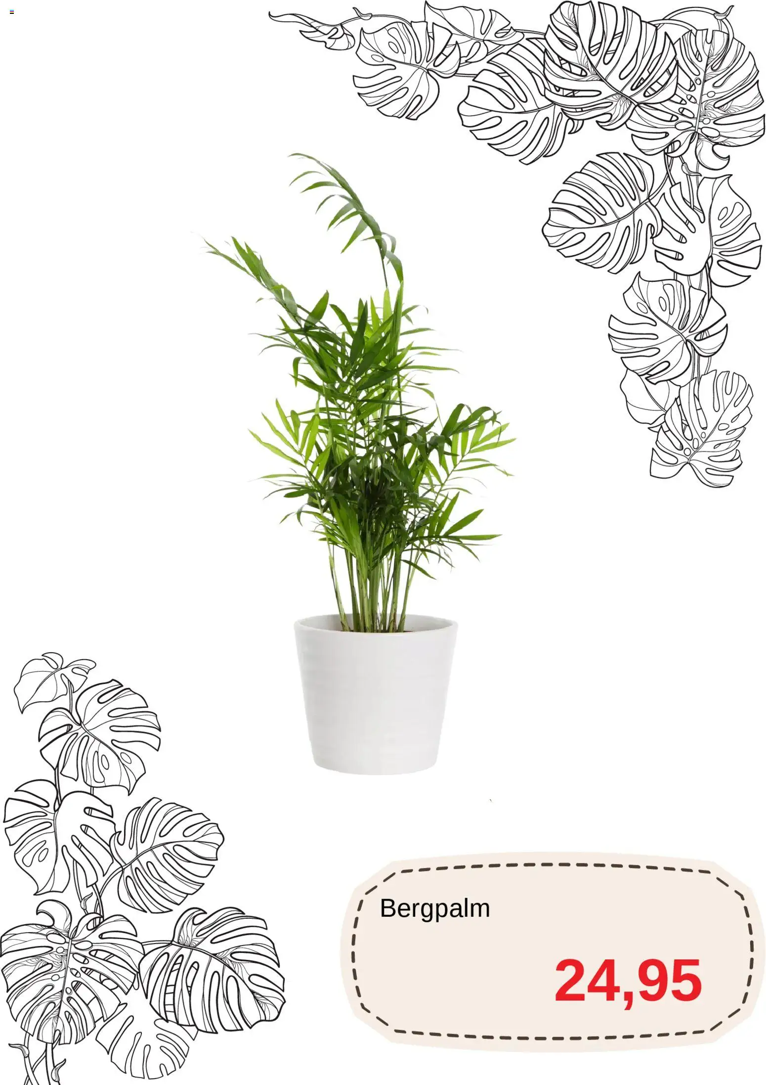 Blomsterlandet reklamblad aktuell från 01.11.2025 | Sida: 9