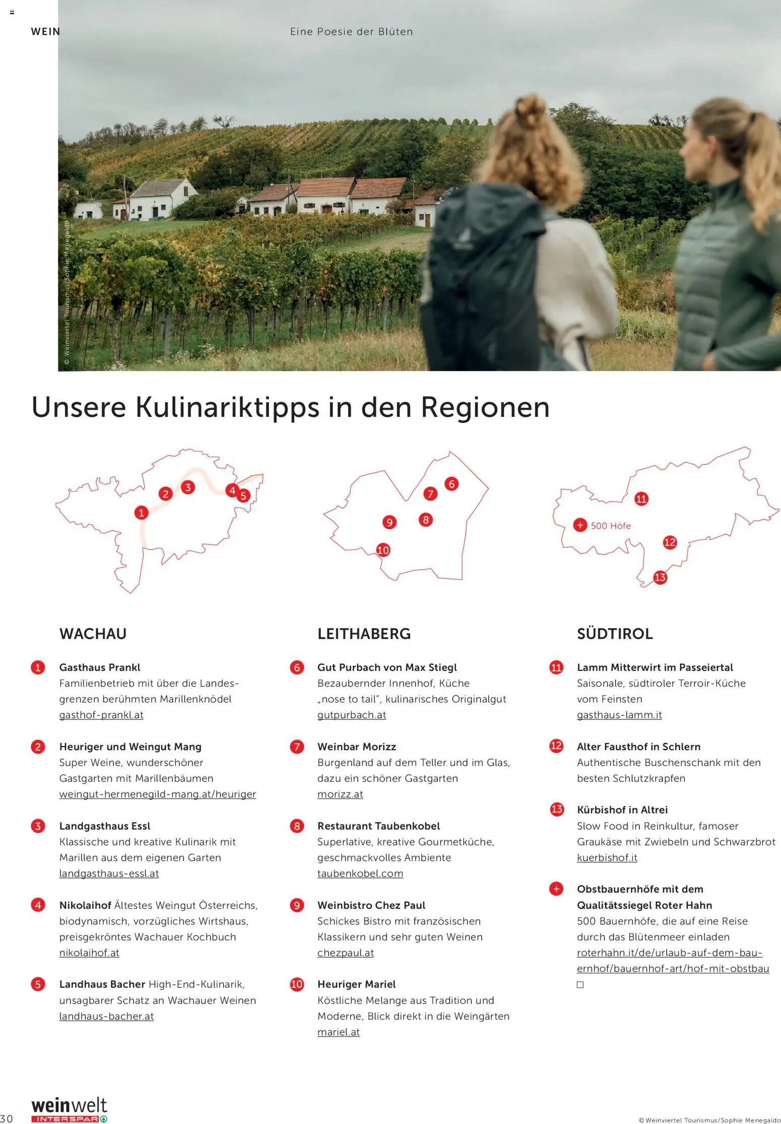 Interspar Meine Weinwelt Frühling 2026 gültig ab 05.03.2026 | Seite: 30 | Produkte: Zwiebeln, Wein