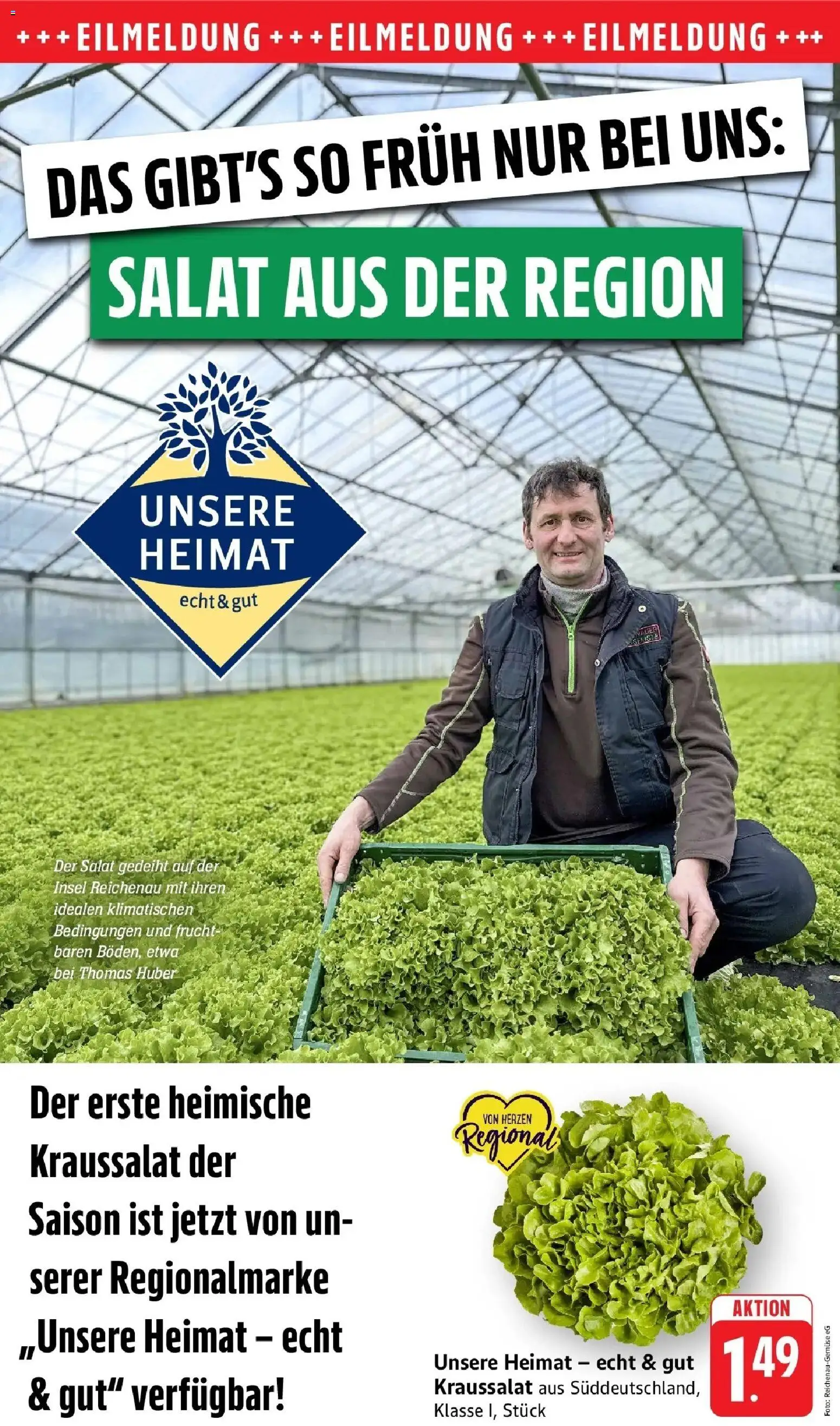 Edeka prospekt Ludwigshafen	 – gültig ab 16.03.2026 | Seite: 10 | Produkte: Salat