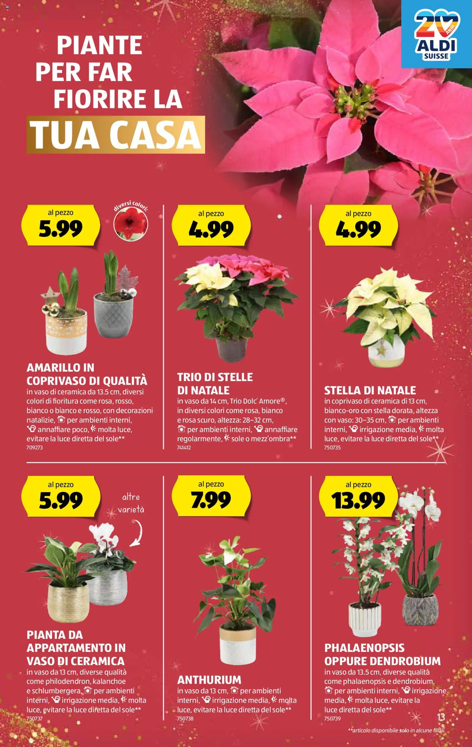 Aldi Aktionen IT – gültig ab 04.12.2025 | Seite: 14