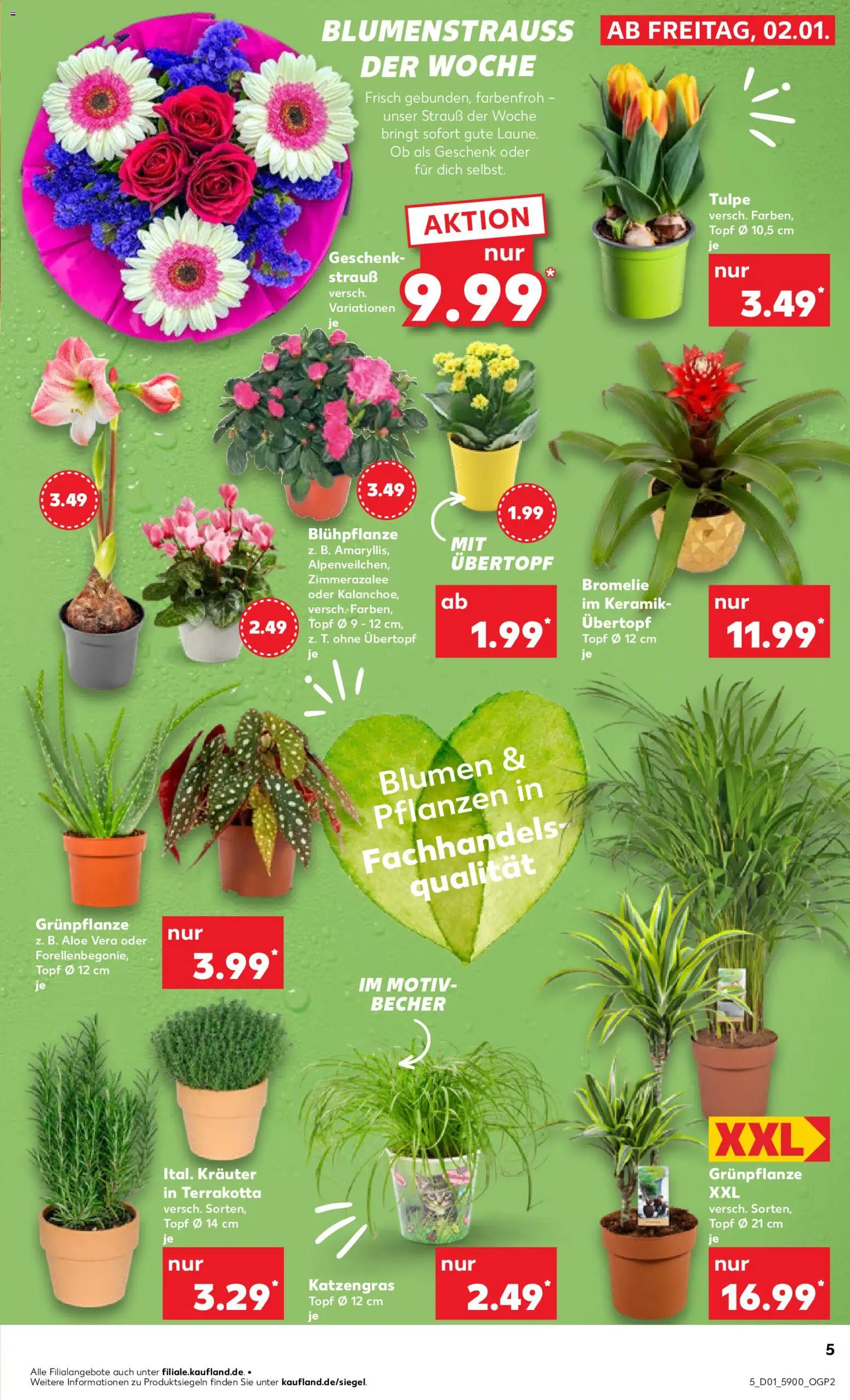 Kaufland prospekt Frankfurt (Oder)	 – gültig ab 02.01.2026 | Seite: 5 | Produkte: Blumen