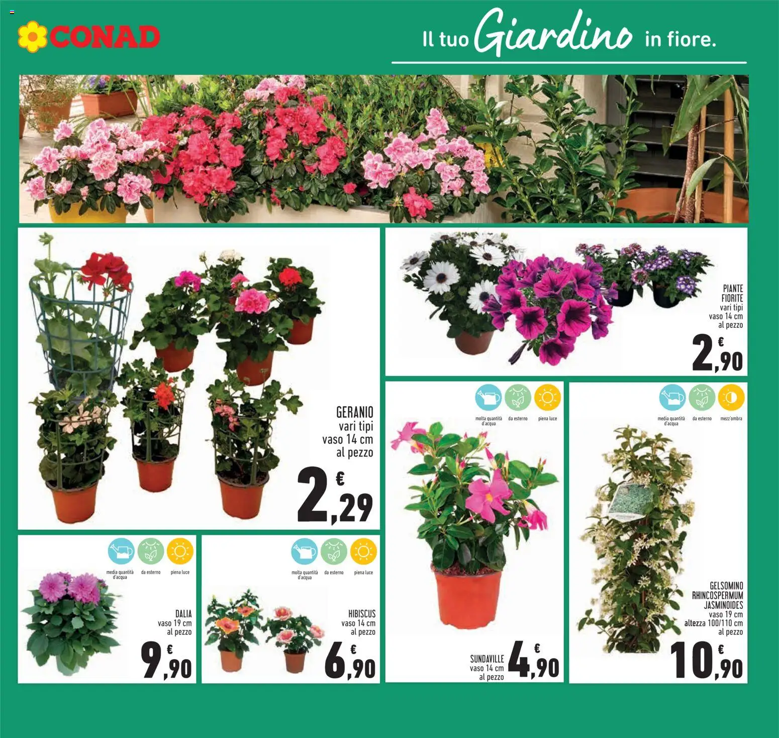 Volantino Conad del 08.04.2026 | Pagina: 9 | Prodotti: Vaso