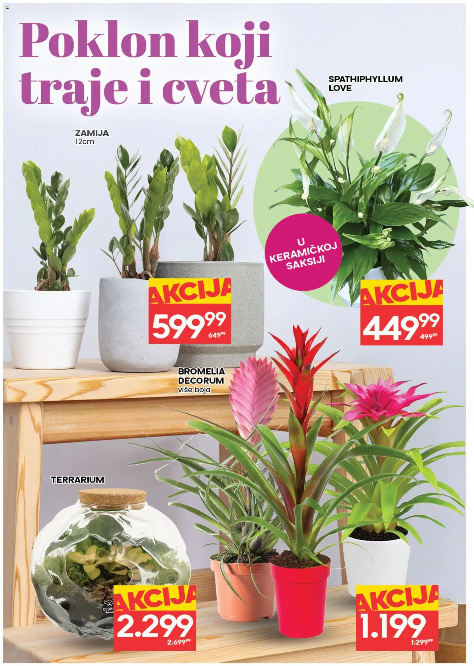 Idea katalog - važi od 05.03.2026 | Strana: 6