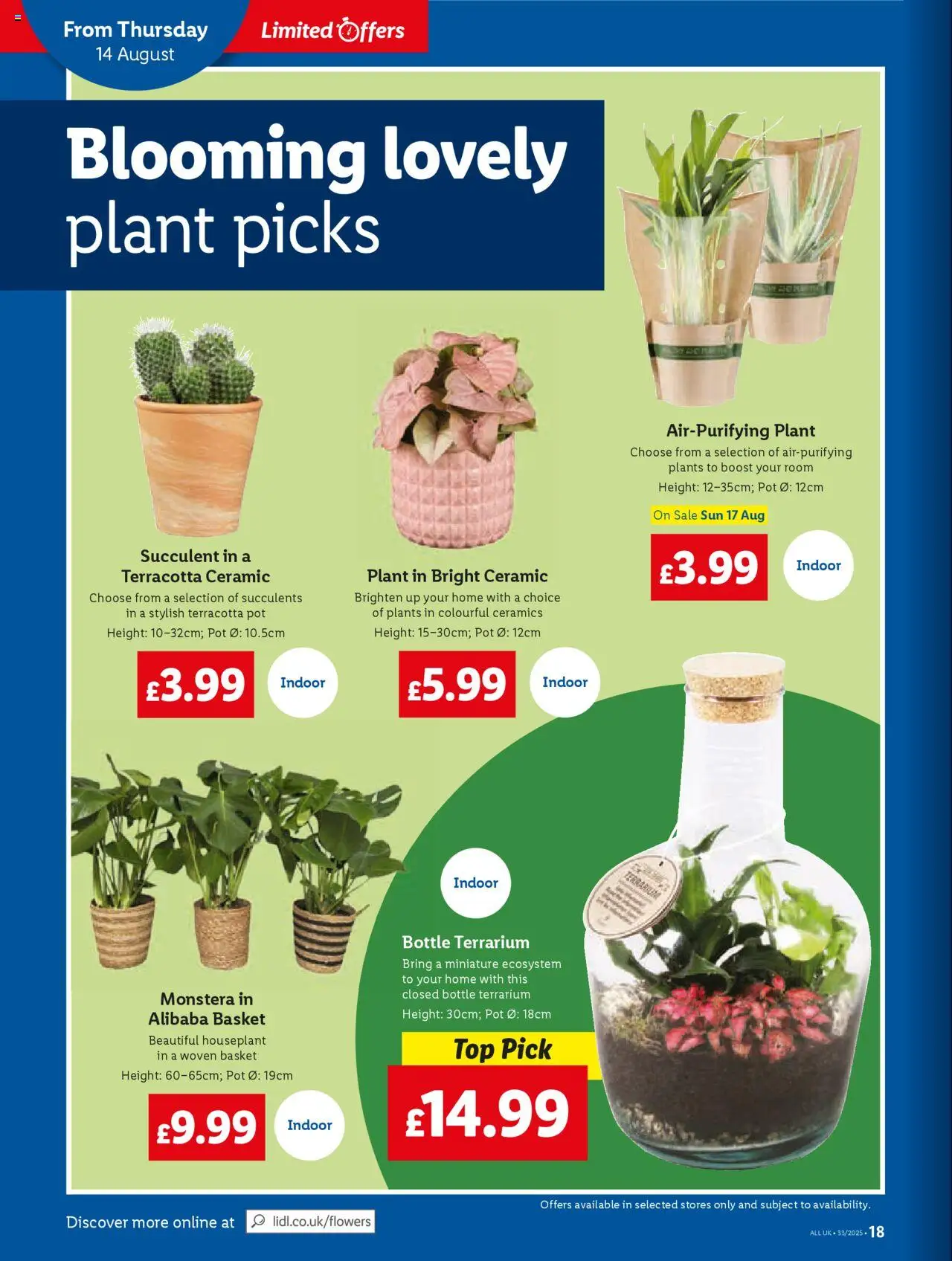  | Page: 18 | Products: Basket, Pot