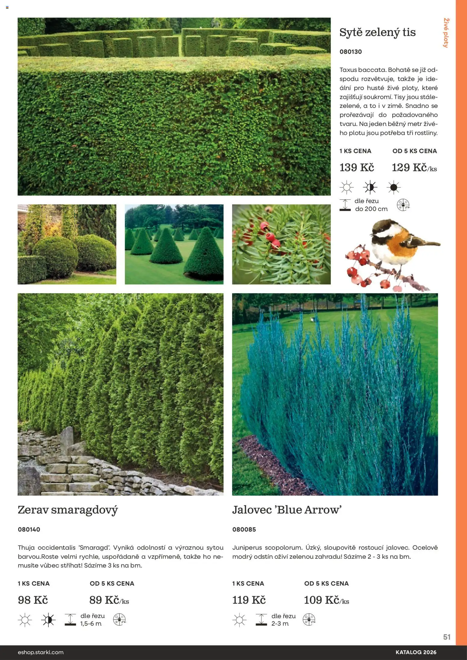 Starkl katalog od 25.02.2026 | Strana: 51