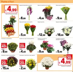Anteprima del volantino Volantino Iper	 valido a partire dal 24.10.2025 | Pagina: 33 | Prodotti: Crisantemi, Ciotola, Vaso