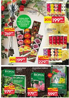 Roda katalog - pregled Roda kataloga - važi od 19.03.2026 | Strana: 31