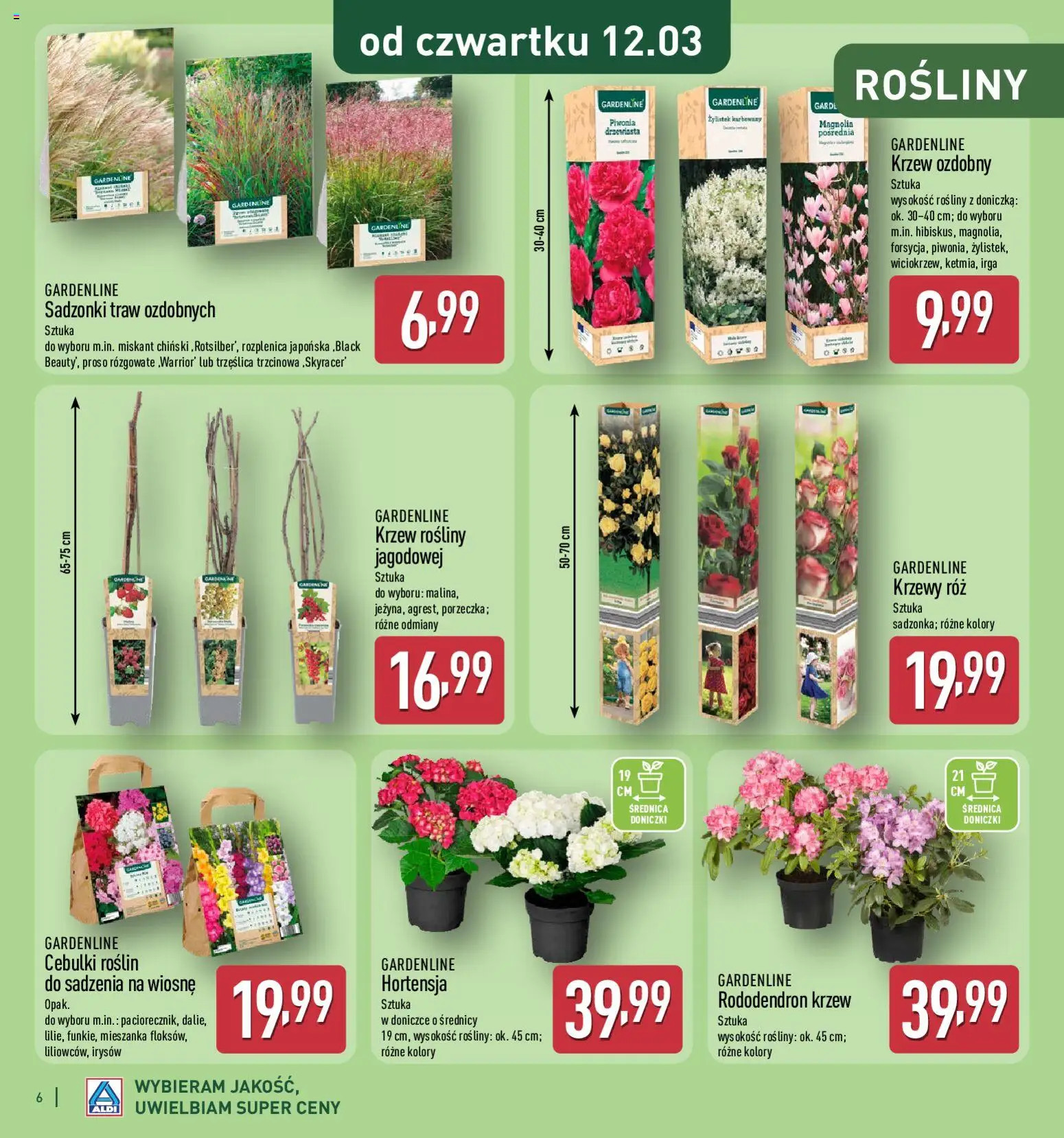 Aldi Polsko katalog od 25.02.2026 | Strana: 6