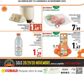 Anteprima del volantino PECORINO ROMANO DOP GOCEANO SARDAFORMAGGI, Pecorino Romano DOP Goceano Sardaformaggi valido a partire dal 19.11.2025 | Pagina: 24