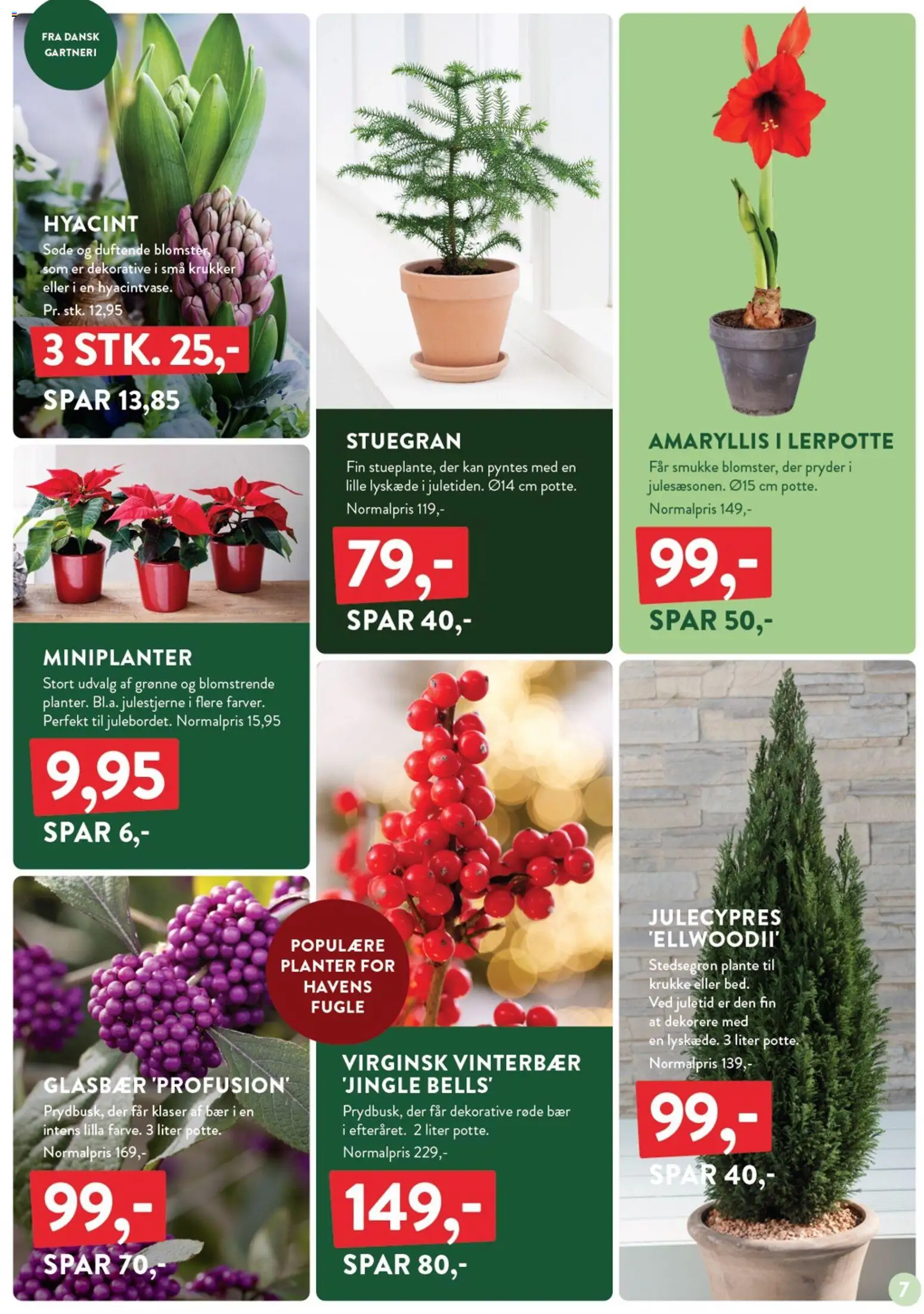 Plantorama tilbudsavis – gyldig fra 07.11.2025 | Side: 7 | Produkter: Krukke, Søm