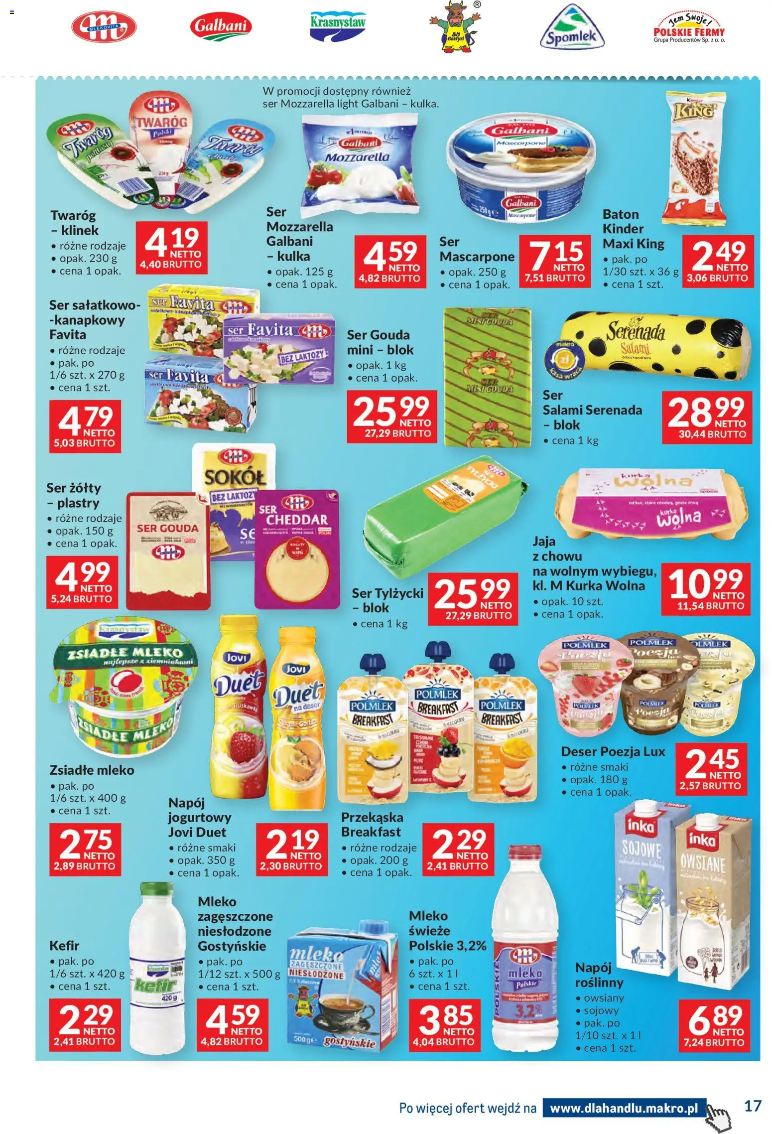 Makro Gazetka - Dystrybucja do sklepów od 09.12.2025 | Strona: 17 | Produkty: Kefir, Mozzarella, Twaróg, Ser gouda