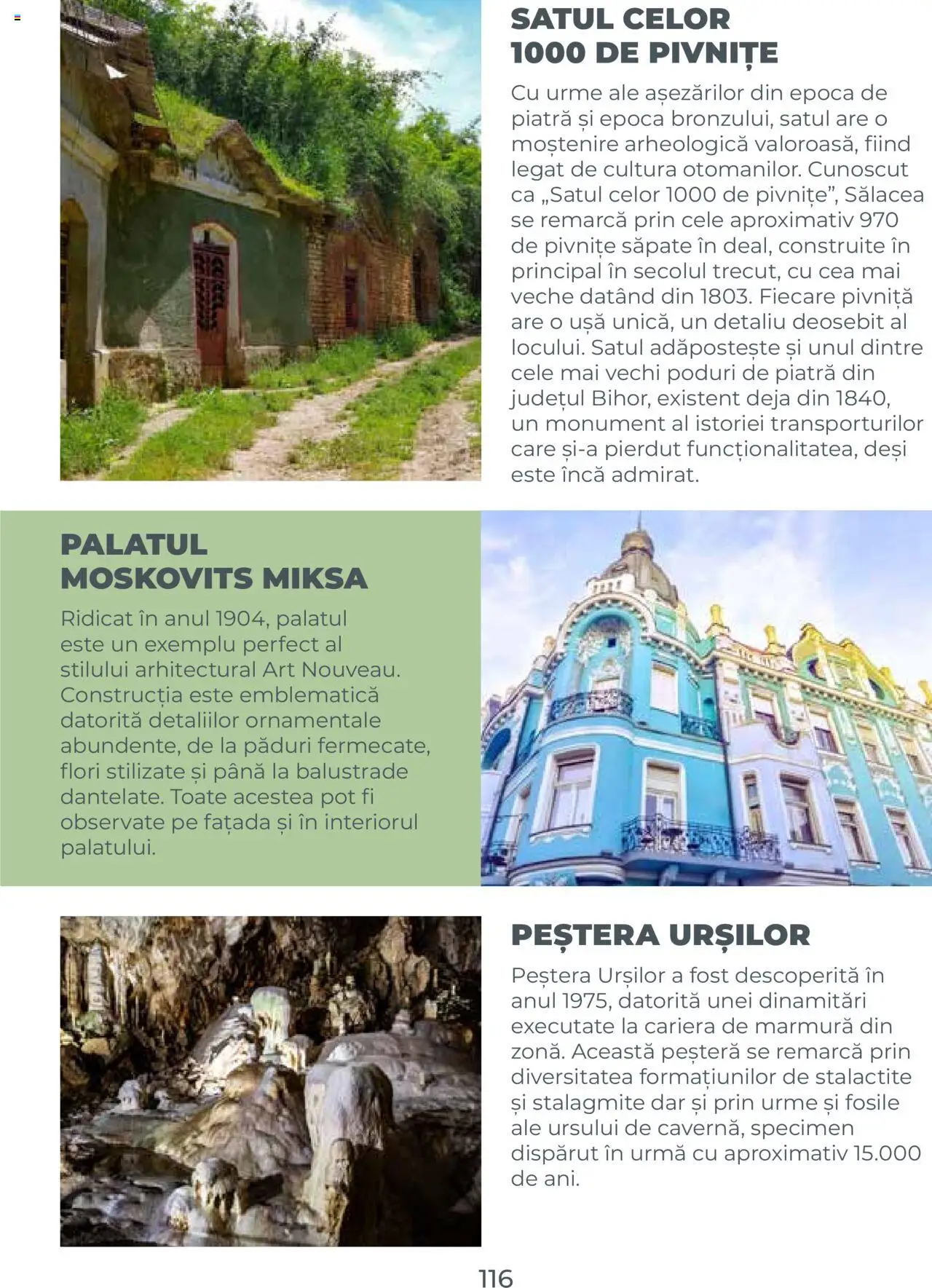 Metro catalog - Ghid de călătorie România – valabil de la 01.08.2025 | Pagină: 116 | Produse: Ușă