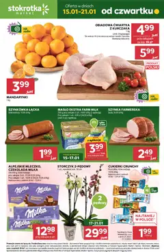 Pogląd oferty "Stokrotka Gazetka - Market" - ważna od 15.01.2026