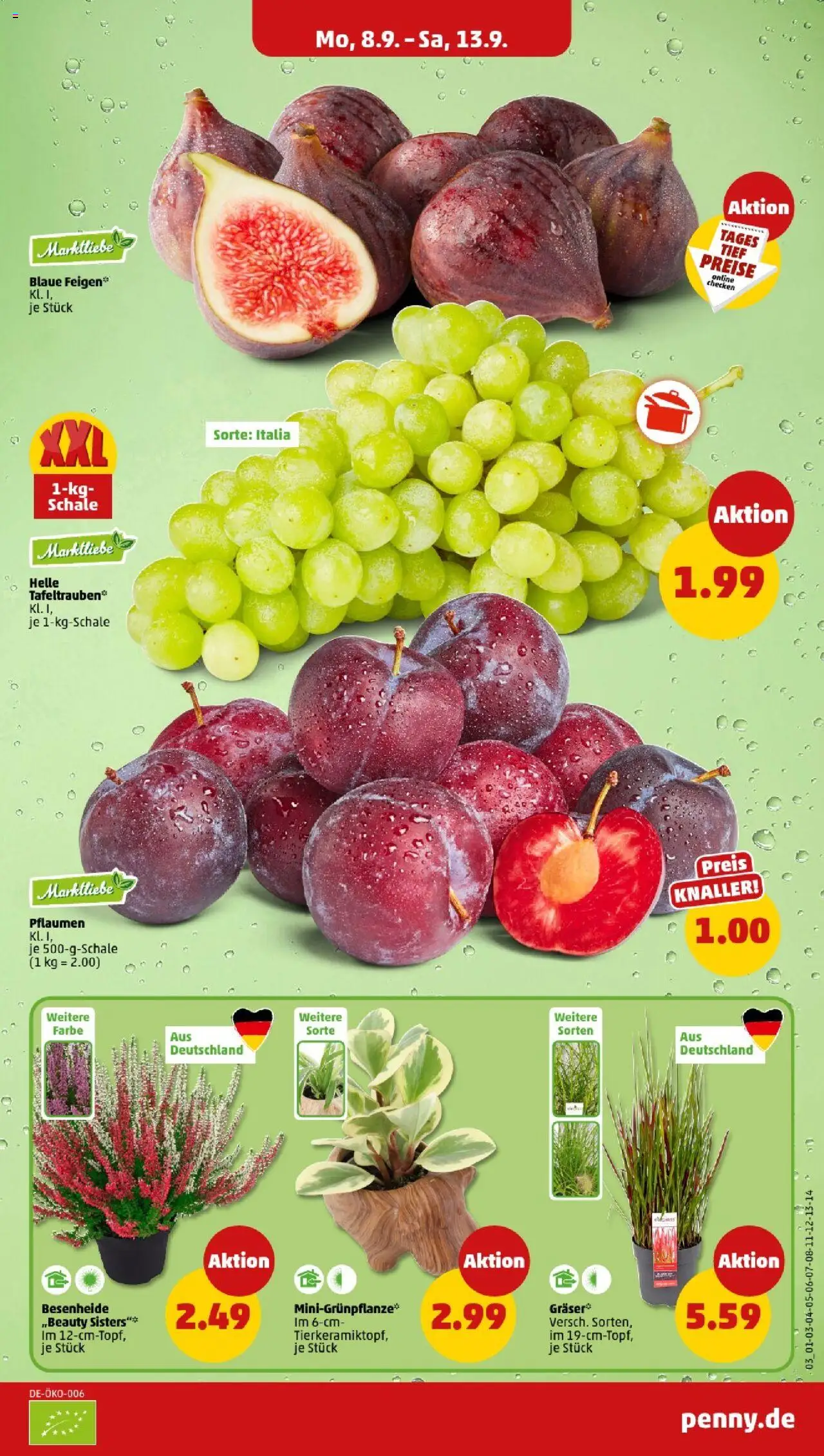 Penny Hamburg – gültig ab 08.09.2025 | Seite: 3 | Produkte: Pflaumen