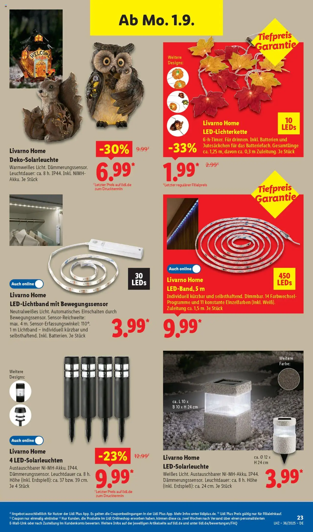 Lidl Prospekt Lüchow	 - gültig ab dem 01.09.2025 | Seite: 37 | Produkte: Batterien