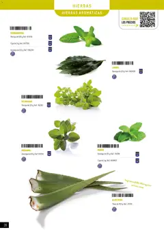 Vista previa Makro - Especial Frutas y Verduras Península válido desde el 05.01.2026 | Página: 28 | Productos: Bandeja, Caja