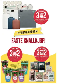 Forhåndsvisning av CC Mat kundeavis gyldig fra 02.02.2026 | Side: 5 | Produkter: Olje, Koriander, Basilikum, Lys