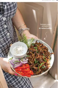  | Σελίδα: 97 | Προϊόντα: Γύρος