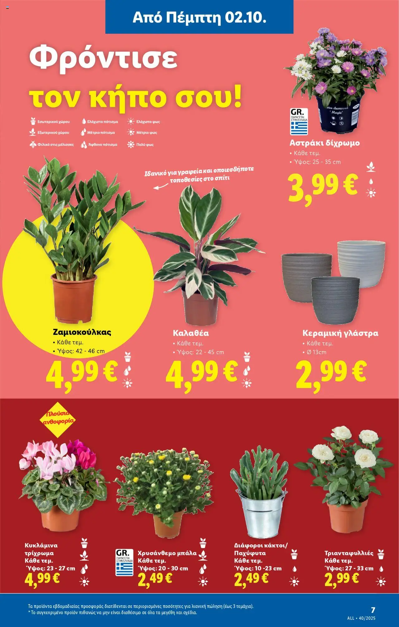  | Σελίδα: 35 | Προϊόντα: Γλάστρα