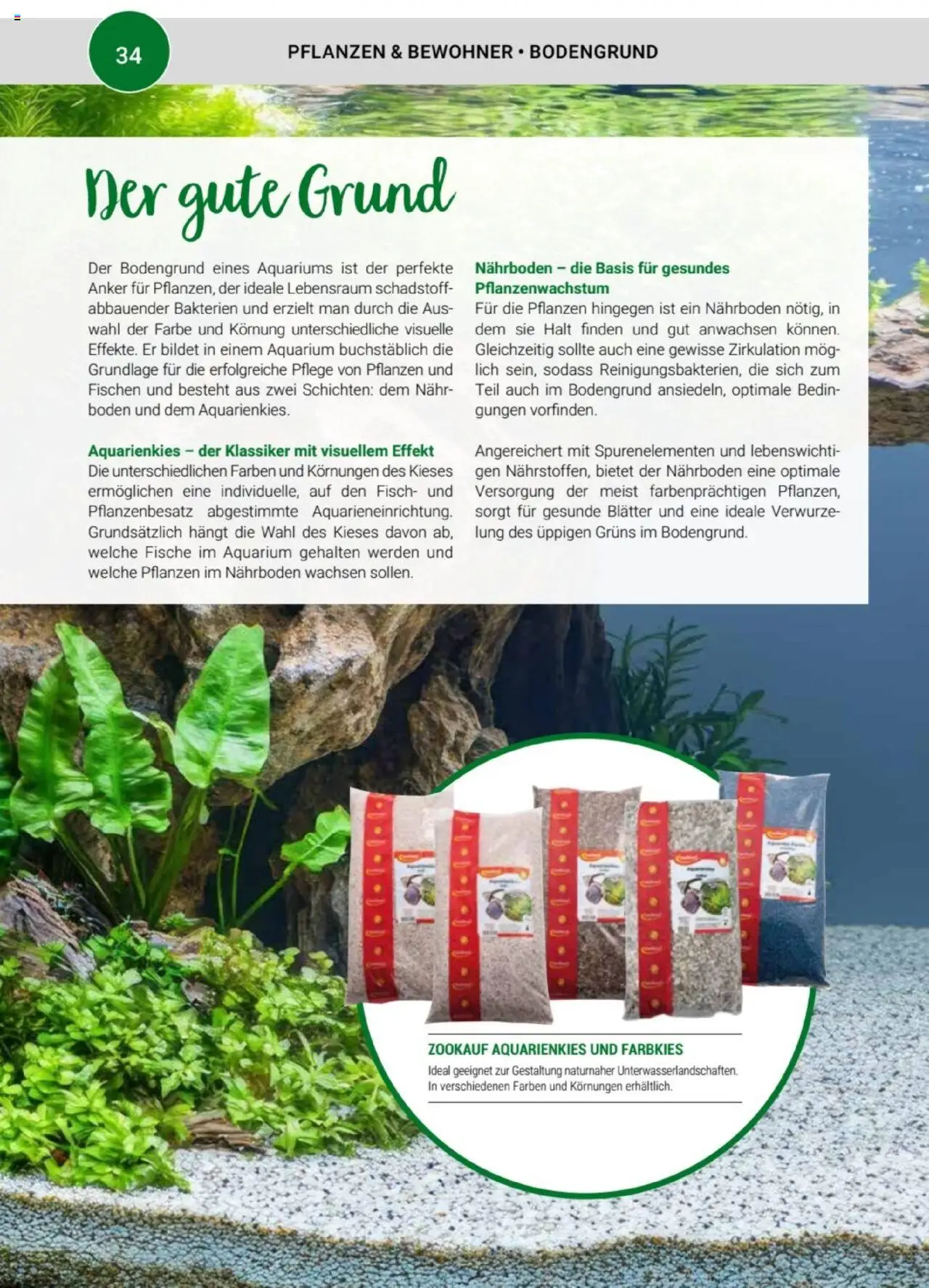 zookauf Themenkatalog Aquaristik – gültig ab 01.10.2025 | Seite: 34 | Produkte: Fisch