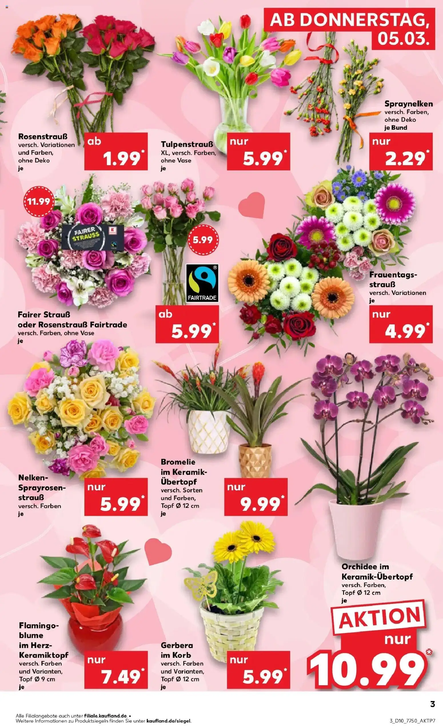 Kaufland Prospekt Herne	 – gültig ab 02.03.2026 | Seite: 15 | Produkte: Orchidee, Korb, Vase