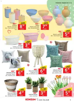 TEGLA ZA CVIJEĆE, s nogicama, bež, dim.: 31x18x16cm, kom - Pregled kataloga iz trgovine Konzum, vrijedi od 04.03.2026 | Stranica: 3