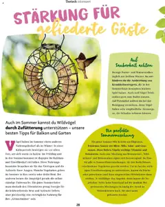 Fressnapf Friends 04/25 gültig ab 01.07.2025 | Seite: 28 | Produkte: Salat, Spiel