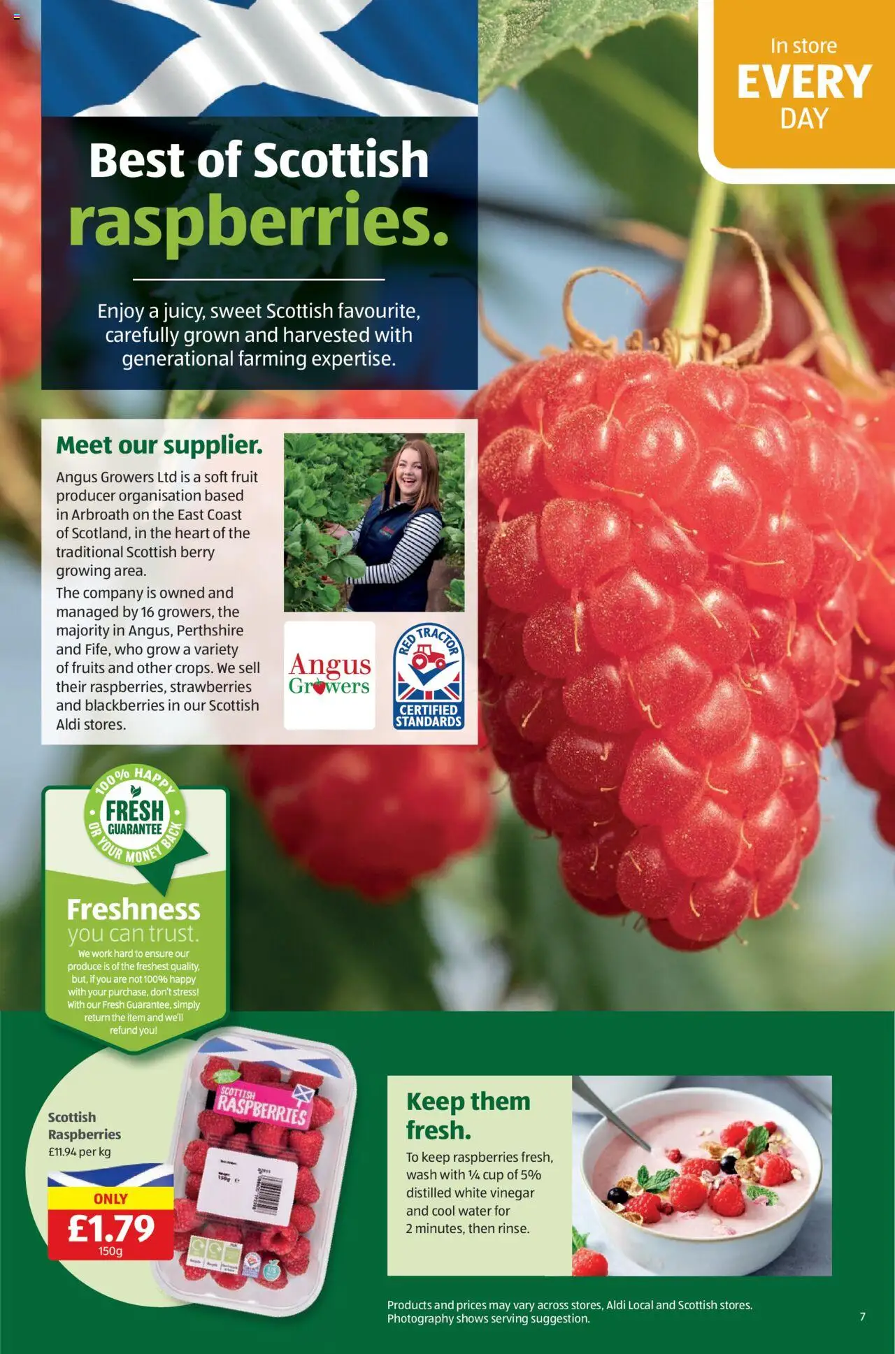  | Page: 7 | Products: Strawberries, Retek