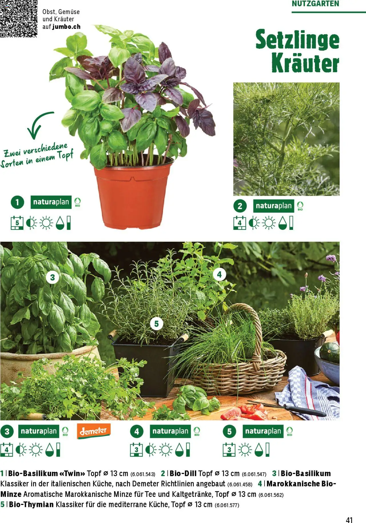 Jumbo Aktionen Dein Garten 2025 ab 21.02.2025 | Seite: 41 | Produkte: Tee, Gemüse