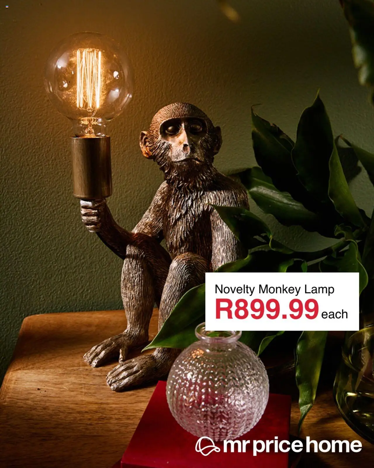 MRP Home Jungle Decor Specials │ valid from 29.07.2025 | Page: 1 | Products: Lamp
