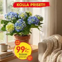 EKO - erbjudanden - Förhandsvisning av reklamblad från butik EKO aktuell från 28.01.2026