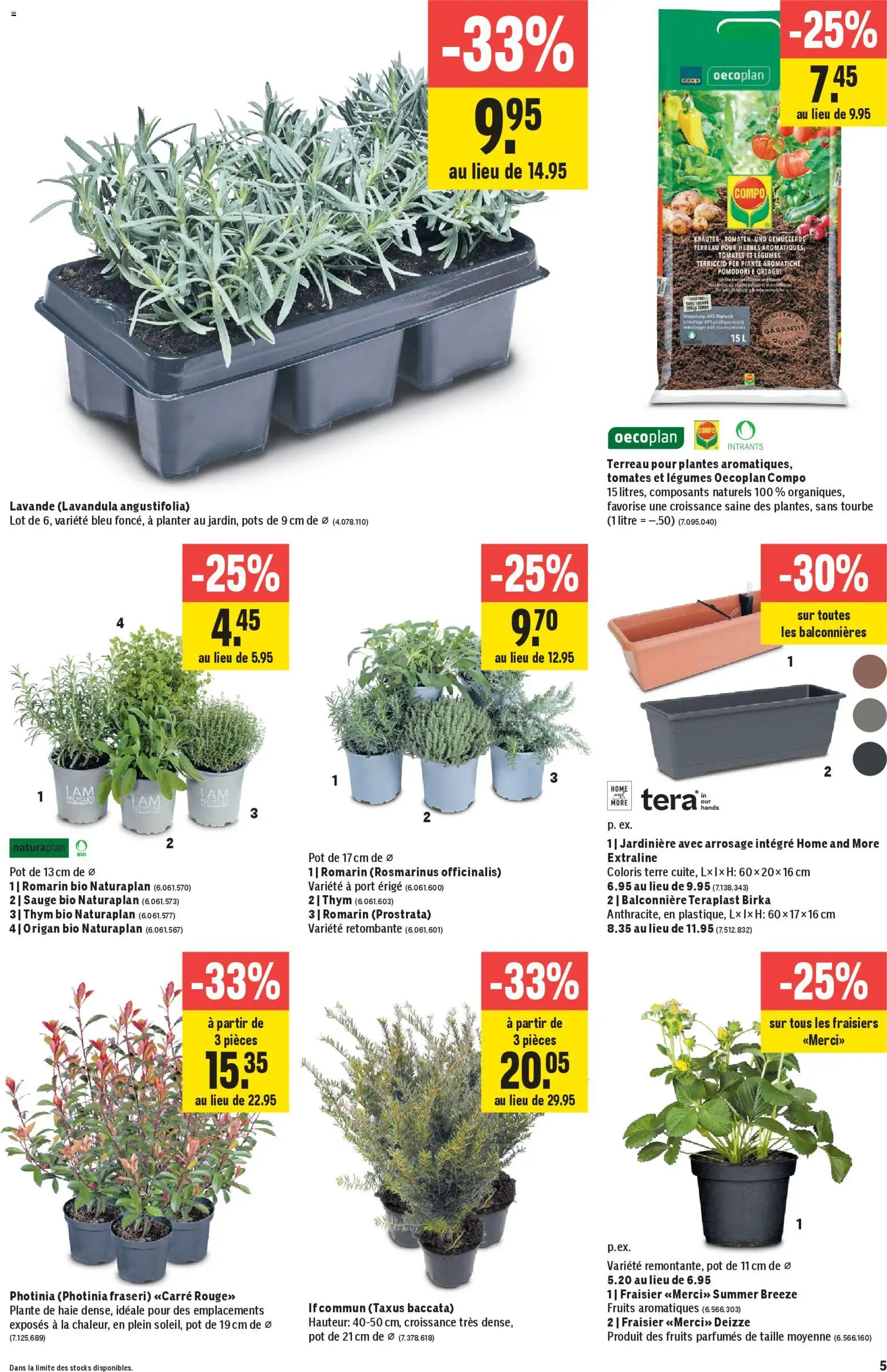 Jumbo aktionen FR – gültig ab 09.04.2026 | Seite: 5 | Produkte: Tomaten