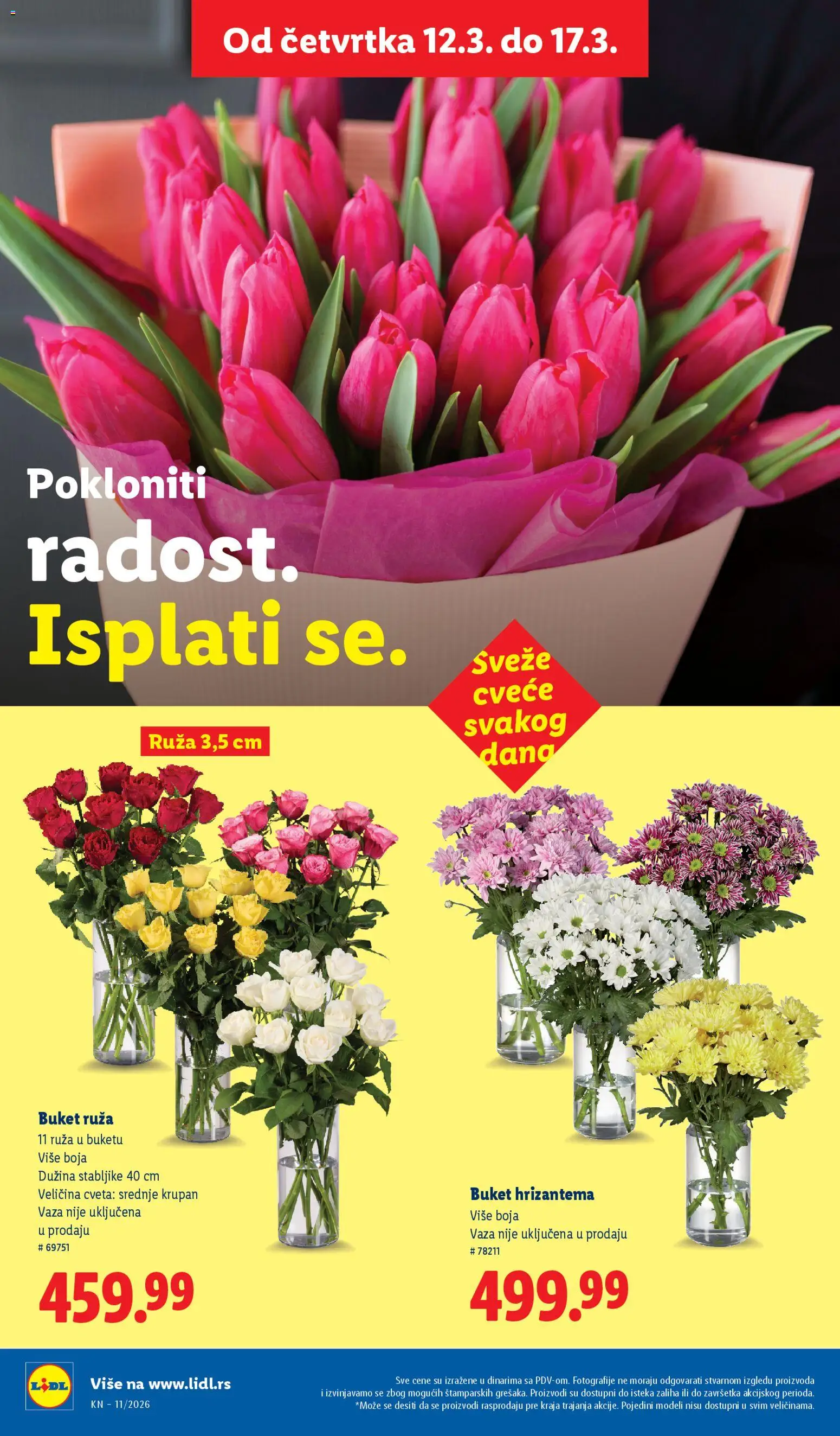 Lidl katalog - važi od 12.03.2026 | Strana: 60 | Proizvode: Vaza, Hrizantema, Cvece