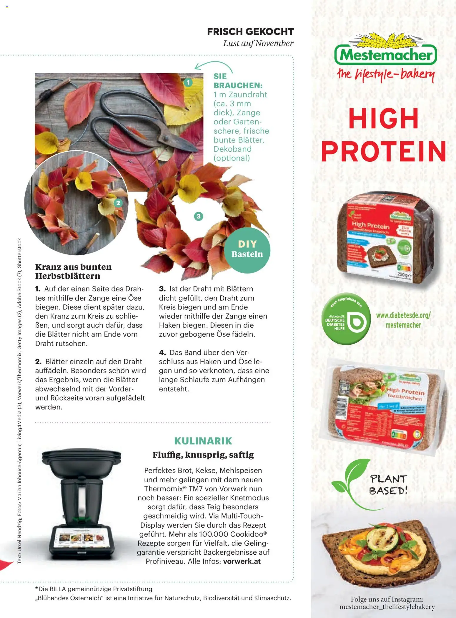Billa AT akciós ujság - amely érvényes a következő dátumtól: 01.11.2025 | Oldal: 11 | Termékek: Protein, Só