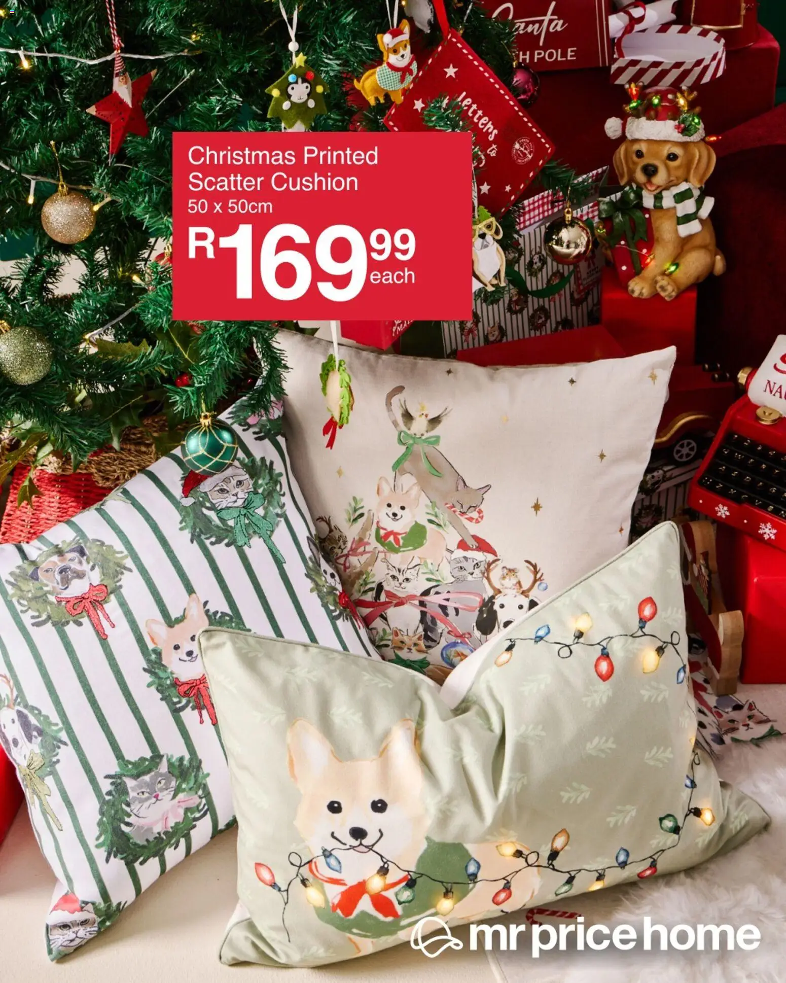 New MRP Home catalogue – valid from 04.11.2025 | Page: 3 | Products: Cushion