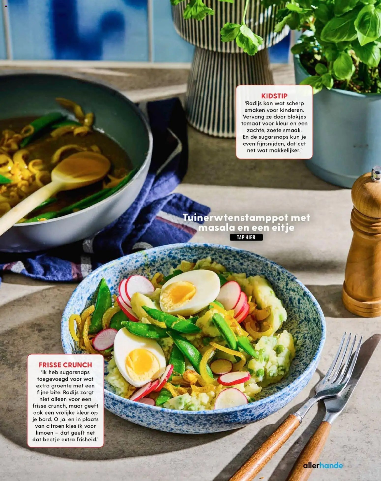 {H1} | Pagina: 47 | Producten: Limoen, Citroen, Tomaat, Kan