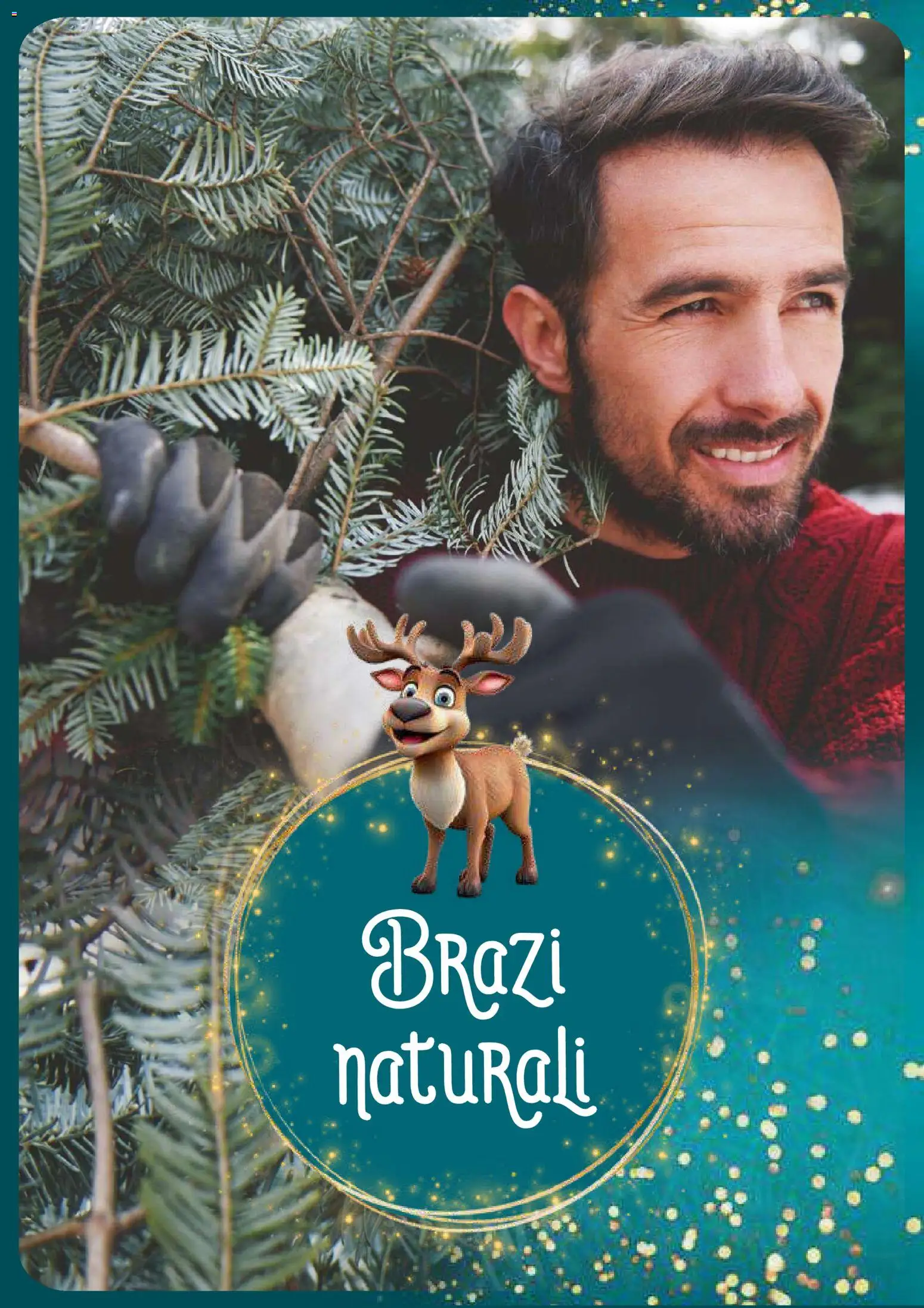 Noul catalog Auchan – valabil de la 26.11.2025 | Pagină: 19