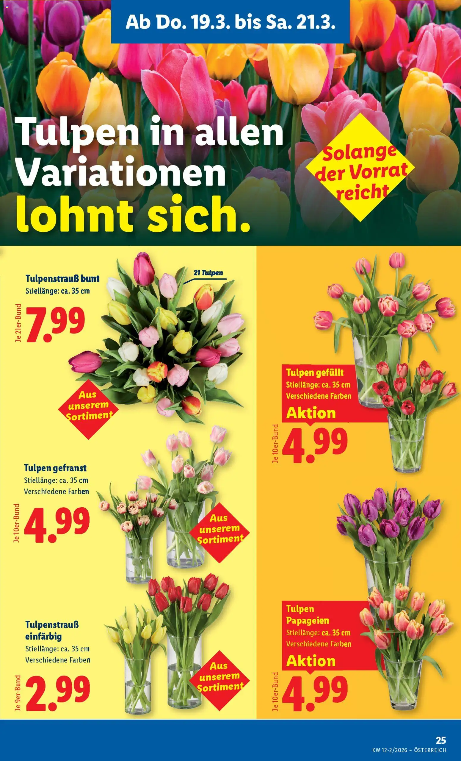 Lidl Flugblatt - Dornbirn, Feldkirch, Graz gültig ab 19.03.2026 | Seite: 27