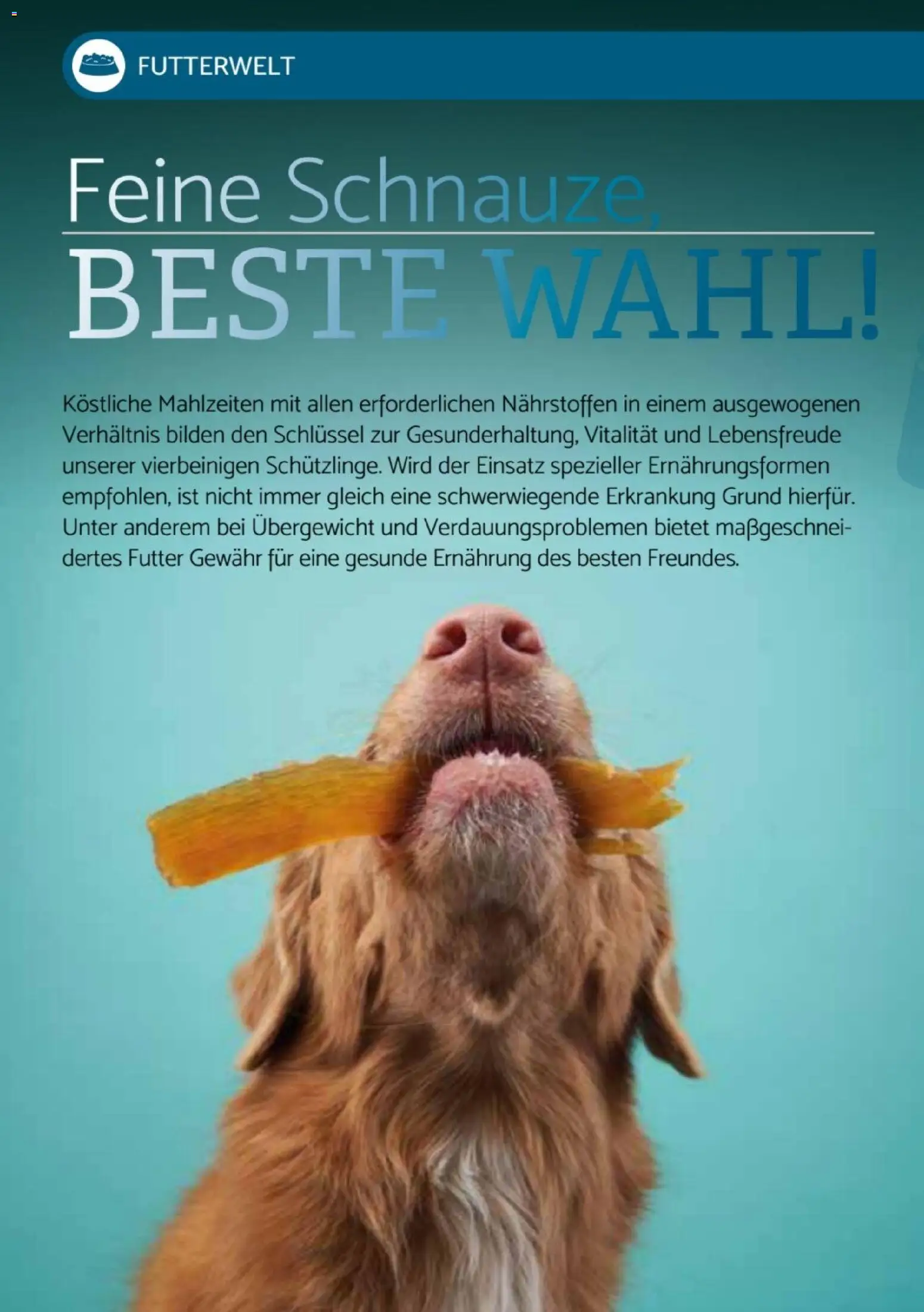 zookauf  Heimtier Journal Special – gültig ab 01.12.2025 | Seite: 10