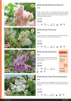 Náhled letáku Starkl katalog od 25.02.2026 | Strana: 42