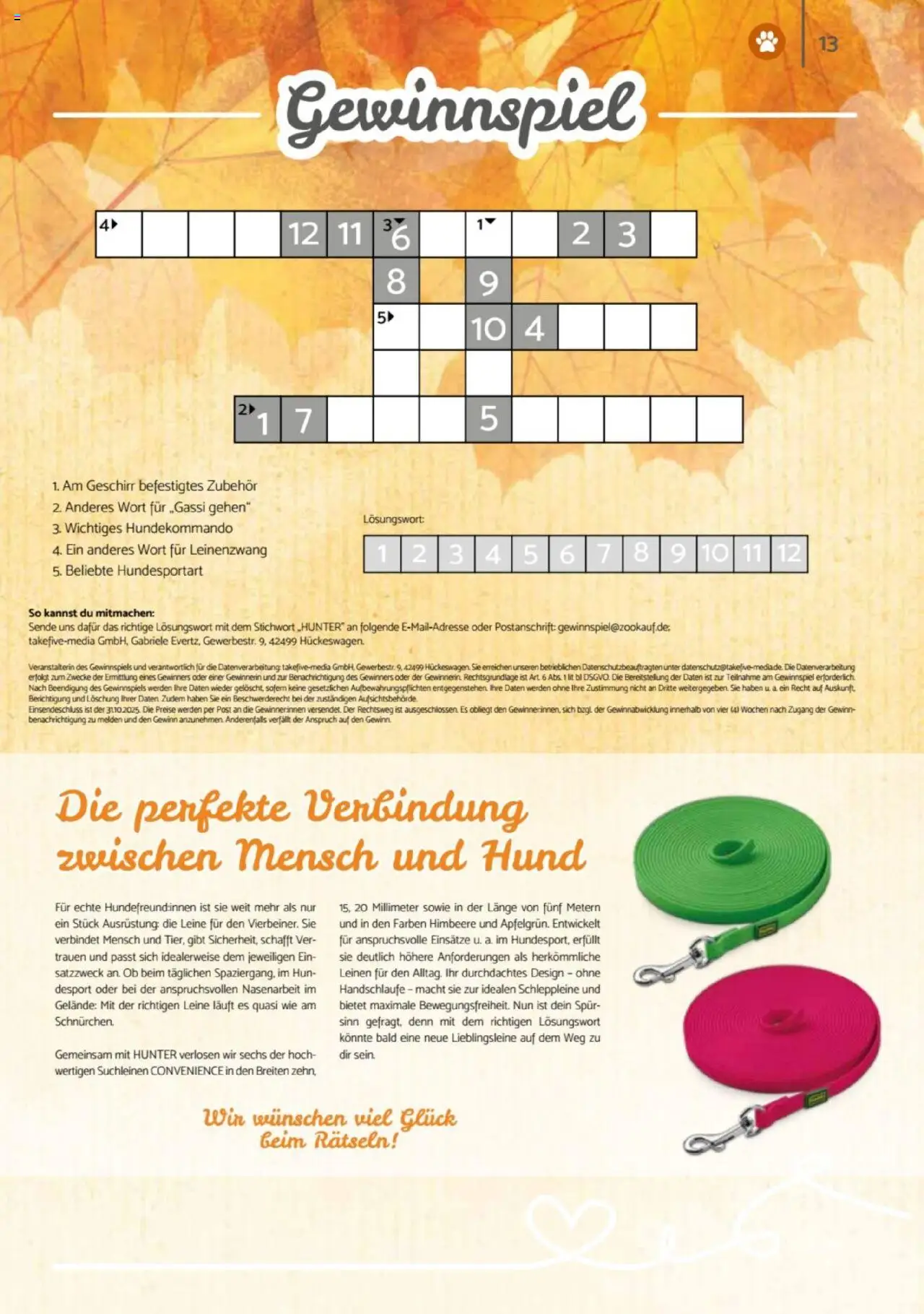 zookauf Heimtier Journal – gültig ab 01.10.2025 | Seite: 13 | Produkte: Himbeere