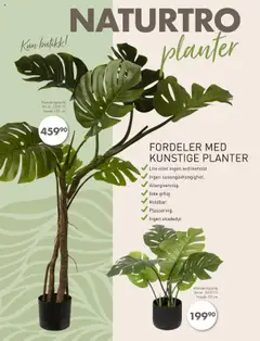 Forhåndsvisning av Spar Kjøp - Grønne planter gyldig fra 25.08.2025 | Side: 4